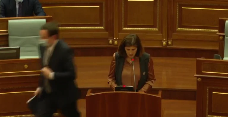Musliu after Kurt left the Assembly: Don't be afraid, Prime Minister. Come here, you coward.