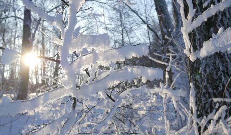 Frío ártico en Kosovo, temperatura hasta -9 grados