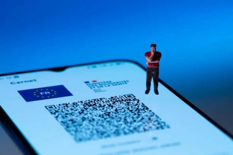 Le Parlement français approuve le certificat d'inocation