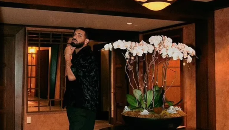 Drake put hot sauce in the condom after having sex, the model went into the vagina without knowing