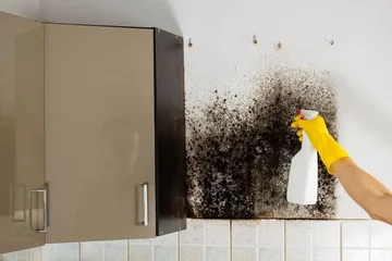 Remove mold from the vinegar house