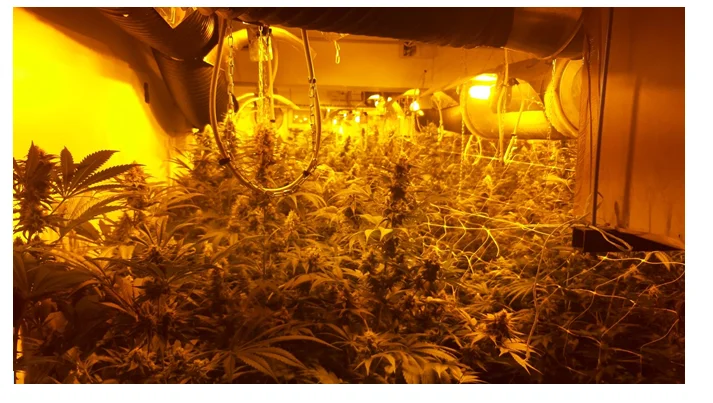 (VIDEO) Immagine pubblicata dal laboratorio di droga scoperto in Obilic