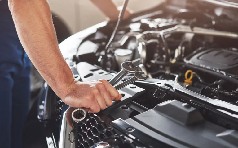 Caglavica: Attacking autoserving owner und stehlen ein Auto
