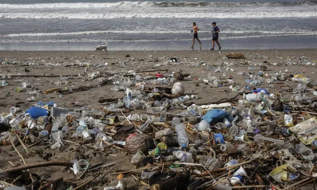 ‘Çarten’ bakteriet në mbarë botën: Evoluojnë që të hanë plastikë