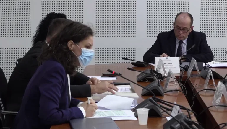 Rizvanolli thotë se është gjendje e jashtëzakonshme: Çmimi i importit të energjisë elektrike është tejet i lartë