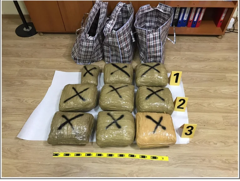 Policia konfiskon mbi 45 kg drogë, arrestohen 6 persona