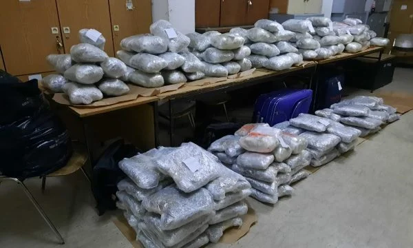 Qysh u kapën 200kg marihuanë që u futën nga Kosova në Maqedoni?