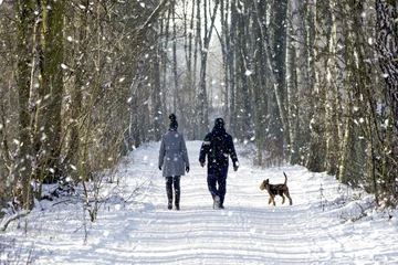 If during winter you give up gyms, there are other ways to weaken