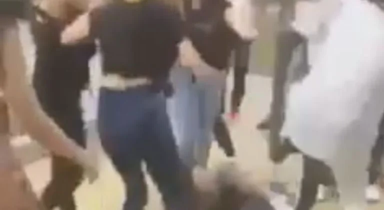 Shkelma, grushta e kapje për flokë mes vajzave në Fushë Kosovë (Video)