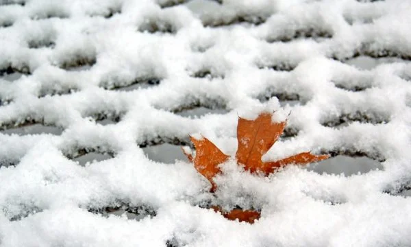 Moti: Priten reshje të dendura bore në zonat malore