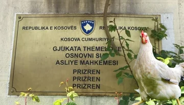 Robo de pollo en Prizren: ¿Cómo sucedió, y qué hicieron los ladrones con el pollo que le costó 750 euros?