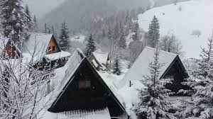 Dy pleq kanë mbetur të izoluar nga bora në Rugovë, kërkojnë ndihmë nga komuna e Pejës