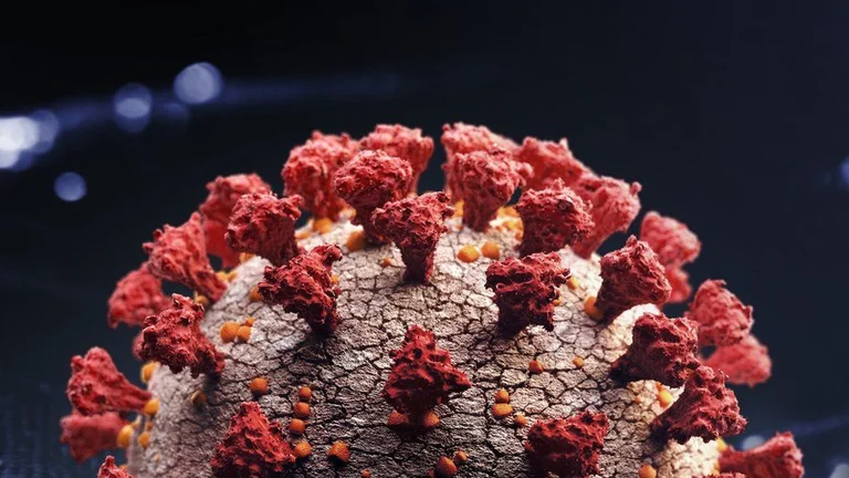 Qual è la nuova versione di scienziati di spicco Coved trovati in Sud Africa?