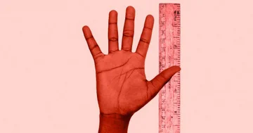 What the hand indicates about the penis and other connections between body parts