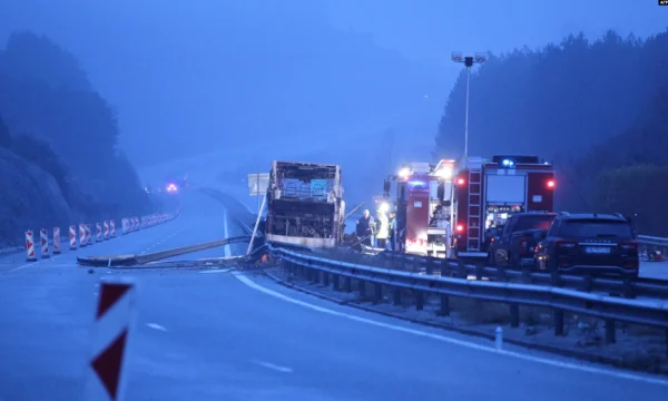 Gemeldet wegen Schmuggeln von Öl und Feuerwerk, Bees Trans nennt sie Spekulation