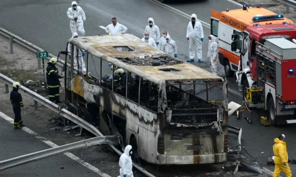 Es gab keine Lizenz für den Bus, der heute abgestürzt wurde