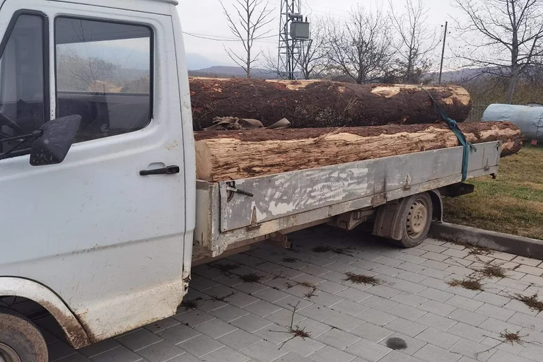 Two people arrested for illegal logging in Bayshe, Istog