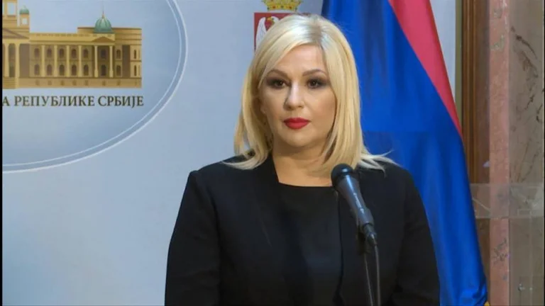 Il vice primo ministro serbo: i serbi nel Kosovo settentrionale hanno fornito loro l'elettricità, è una bugia che devono