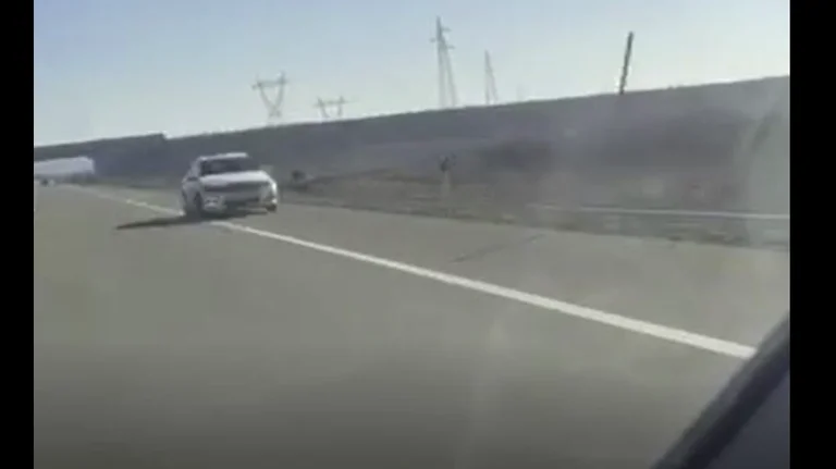 Ha guidato la direzione opposta sulla strada: la polizia condanna male cittadino / in
