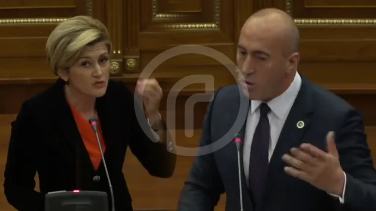 Soy el que entró, lo tienes. Mimoza Kusari es un poco tenebroso en su lengua