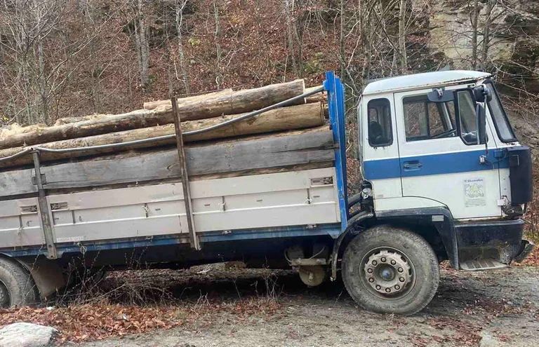 Sie wurden gefangen, Bäume in Decan, zwei Menschen verhaftet.