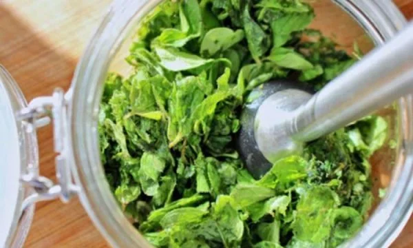 Regon Sirup gegen Husten und Rachenreizungen