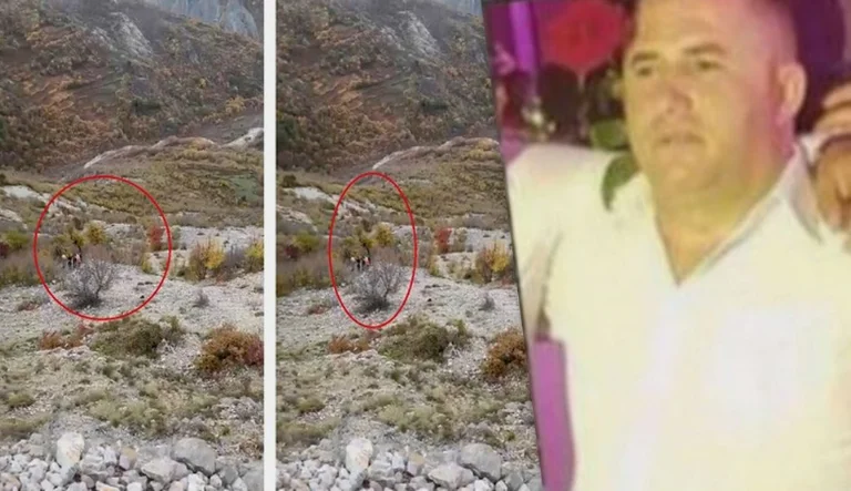 Speaks the shepherd who found no life signs to the Albanian businessman: Smells like crows running around
