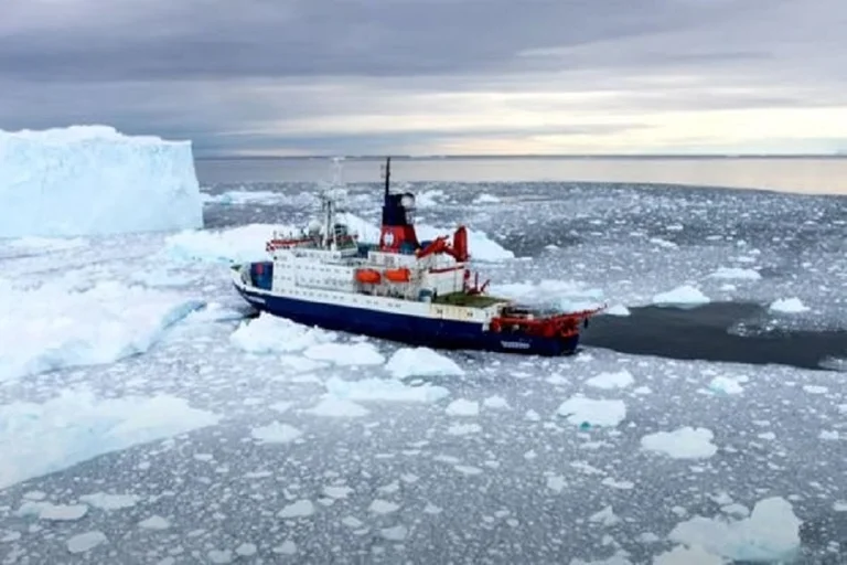 Scientists find evidence of ancient warm forest on Antarctic ice