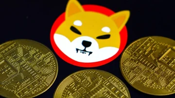 Crytovalta Shiba Inu se está volviendo loco, ¿por qué está pasando esto?