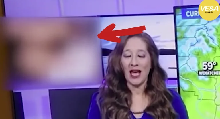 Succede male su una TV in America: Porno Invece di Meteo