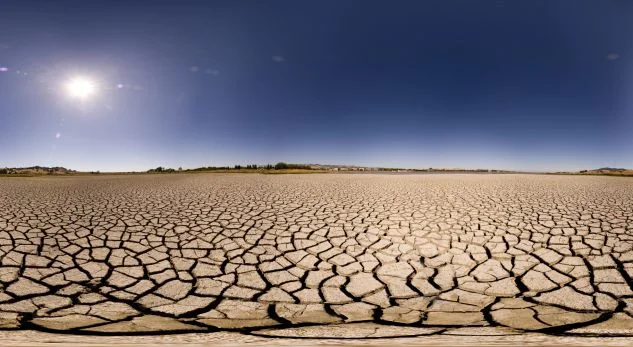 California proclaims emergency to drought and urges citizens to save water