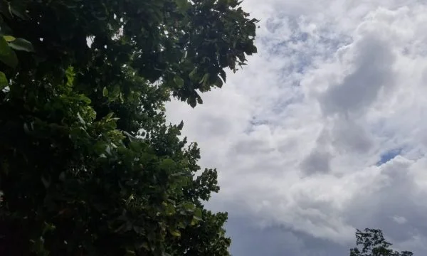 La pioggia cessa questa settimana in tempo caldo
