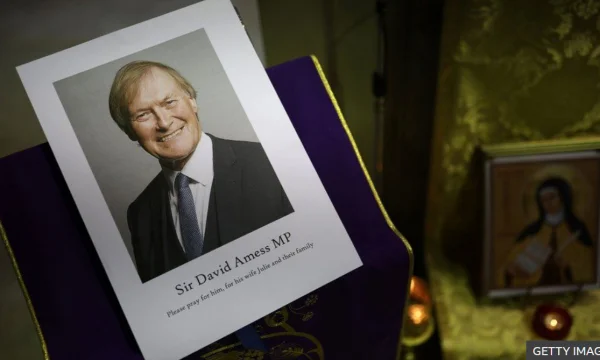 British MP's murder announced terrorist incident, suspected young man of foreign descent