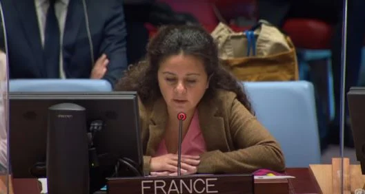 Il rappresentante della Francia esorta Pristina, Belgrado a continuare il dialogo
