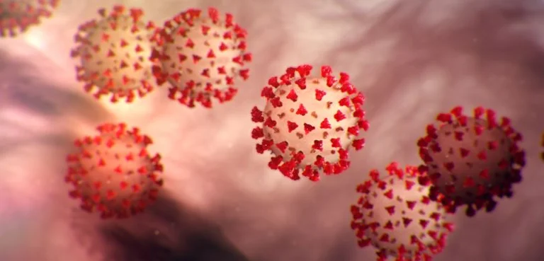 Rreth 10 mijë raste aktive me koronavirus