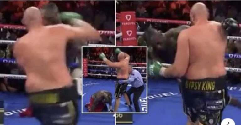 Fury's fist that knocked Wilder down in the tenth round was so powerful that he was heard live.