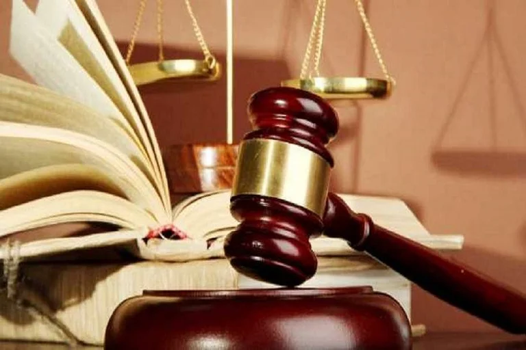 Tatsächlich nach V. N: Organisierte Kriminalität, gefälschte Dokumente, Geldwäsche
