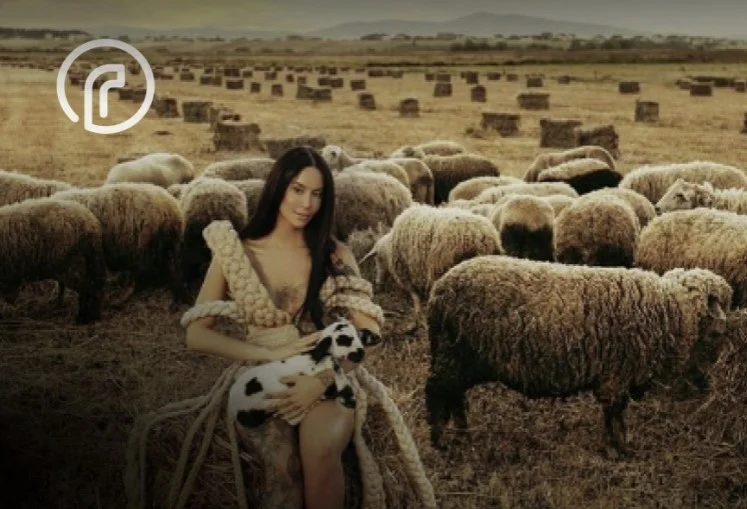Çka mësova pasi e dëgjova dhjetë herë albumin e Dafina Zeqirit?