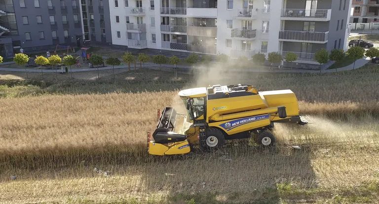 I vetmi që refuzoi ta shiste tokën: Bujku i hip kombanjës dhe mes banesash korr grurë (Video)
