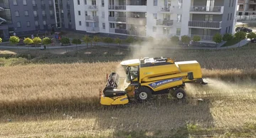 El único que se negó a vender la tierra: El agricultor subió a la nación, y entre las viviendas cosecha trigo (Vídeo)