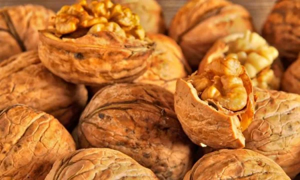 Arrat ndihmojnë në ruajtjen e kujtesës