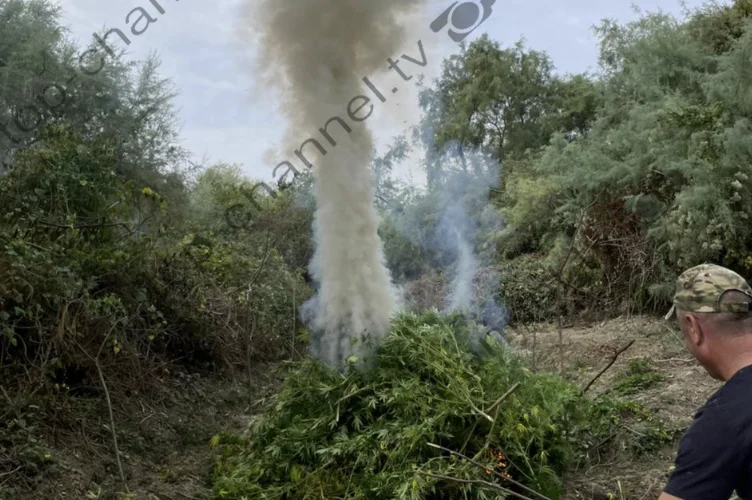 Images from weed parcels allegedly annihilated Saimir Hoxha and two colleagues: Después de unos minutos, ocurrió un delito grave.