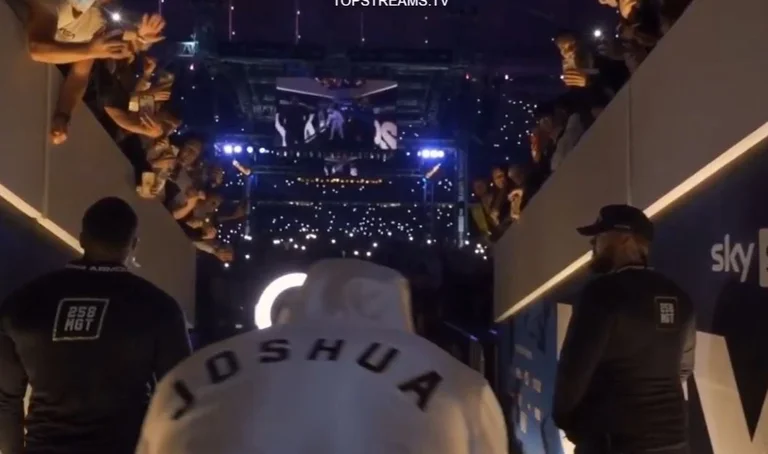 Joshua and Wessick come down to the ring, all but here you can see mechi