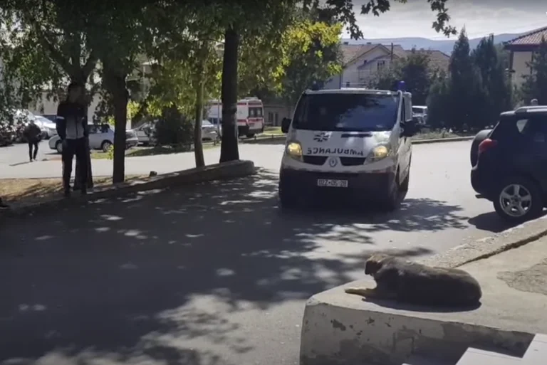 Dragisa, Zoran e Jovan che sono stati picchiati a nord hanno avuto legami con le proteste, in attesa dei media serbi