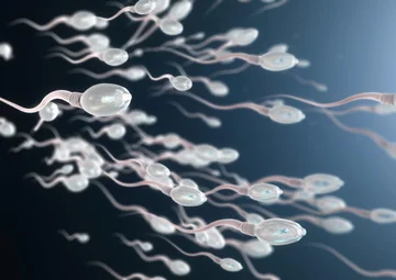 Finalmente: Se detecta el esperma más antiguo del mundo
