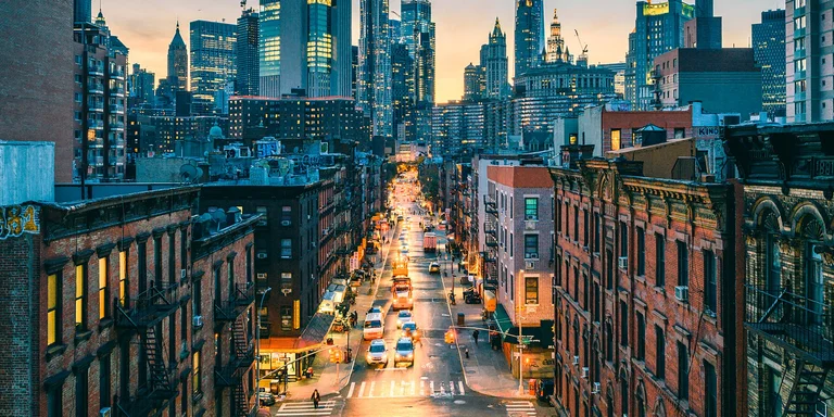 Qindra zogj ngordhën pas përplasjes me ndërtesat e larta në New York