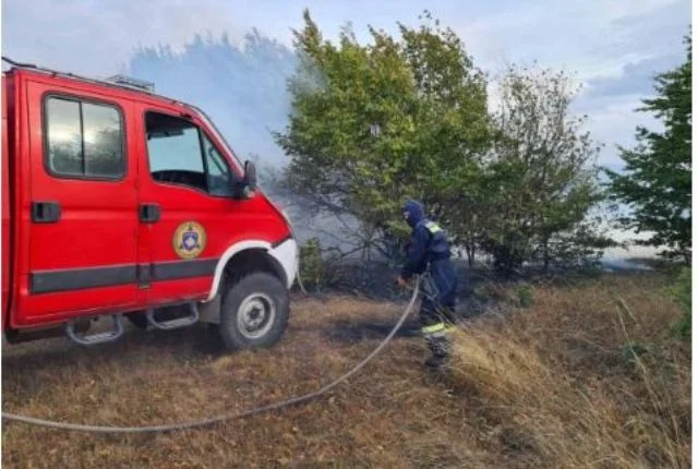 Shuhet zjarri në pyjet e fshatit Topillë
