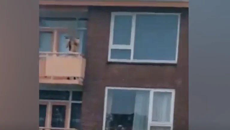Rioshi në Holandë del me armë në ballkon dhe qëllon drejt kalimtarëve: Dy të vdekur