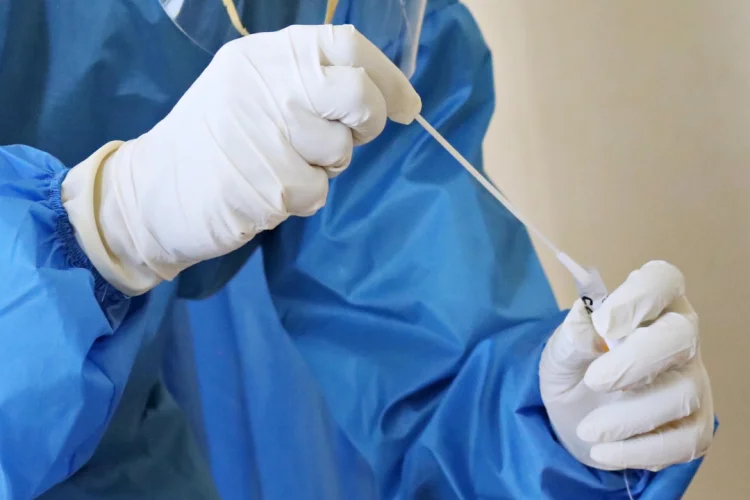 How will the future of pandemic be the next six months?