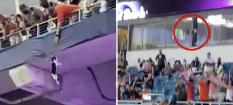 The terrifying moment when the cat falls off the stadium but survives being cut off by fans